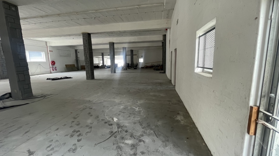 To Let commercial Property for Rent in Diep River Western Cape